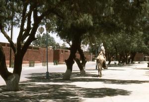 ballade matinale  (Tamanrasset 1989 )