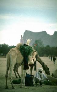 Tamanrasset, Algeria