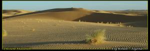 Desert  - Algeria