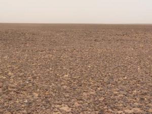 In salah plateau de Tadmaït