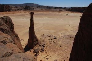 Tagilmame Sanetate - 2009