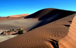 Wanderdüne in der Sahara
