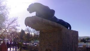 Tebessa Panthère noire