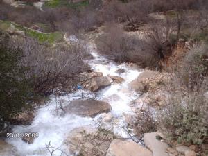 Les sources(2) YOUKOUS (+ de 1000m d'altitude)