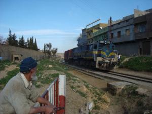 le train de tlemcen