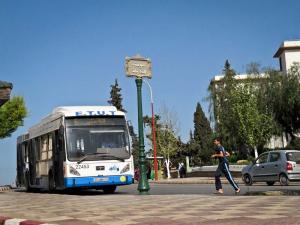 Tlemcen - Centre ville