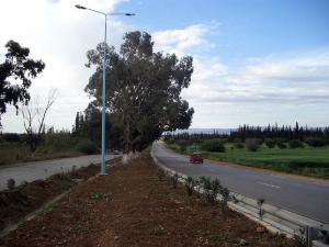 Autoroute qui mène vers zenata & remchi et remonte à tlemcen