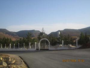 beni snous cimetiere des martirs par mefiteh abdelatif