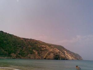 46M - Wardania - vue Cap Ouest