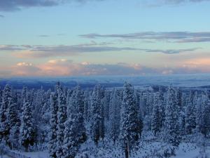 le cimetiere sidi snoussi