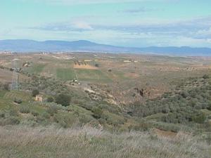 Vue vers Sidi Larbi  & Ouled Rieh (Sabra)