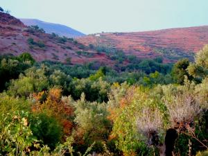 khemis beni snous (mefiteh abdelatif)