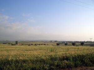 Hennaya à côté du Quartier Larbi Ben Mhidi (village maxime)