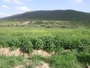 Montagne en printemps