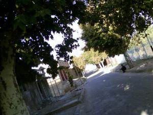 sabra Rue de la gare