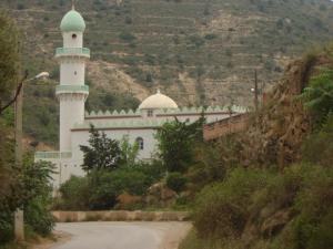 Mosquée de Djemaà Sakhra