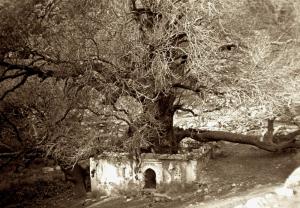 le marabou Sidi Salah-avant 1940