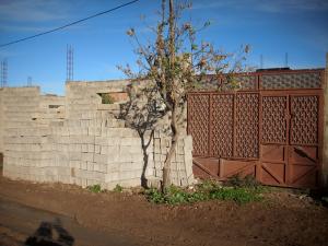 cité dachra bensekrane