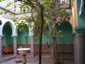 NEDROMA Dar Senhadji