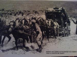 ROUTE DE FRENDA VERS TIARET