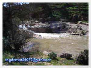 Oued Mina, mankoba-  Tagdempt --