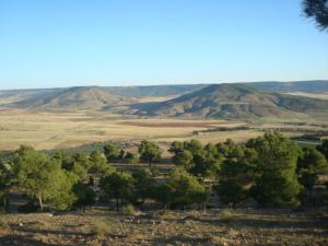Regard sur la plaine