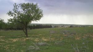 La ferme de Sidi Abed