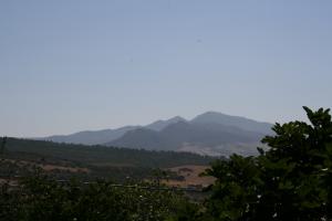 Vue de Tamgout Ath Zenad Freha Tizi ouzou