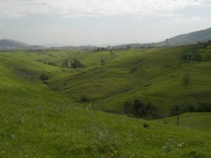 Vue sur Tizi-ouzou EST de AZM