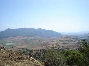 Sur la route Tizi ouzou - Tigzirt