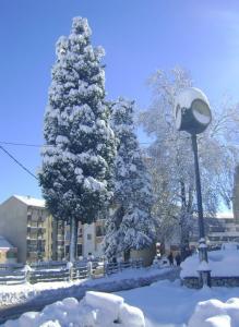 Larbaa Nath Irathen Sous la Neige