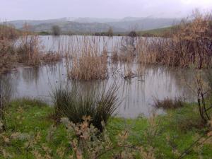 Retenue Collinaire à Tadmait