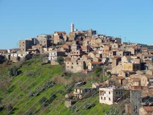 (Belmadani) Village de Taguemount el Djedid