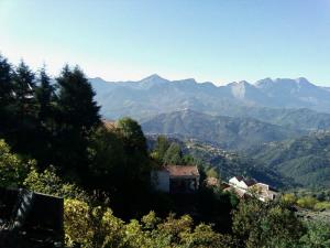 PAYSAGE DE LA KABYLIE