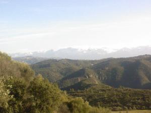 Le Djurdjura vu d'Ath Maamar