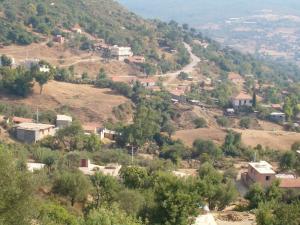 Houbelli vue par Aguellou