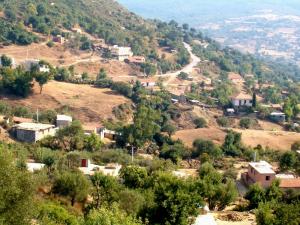 Houbelli vue par thala hioua