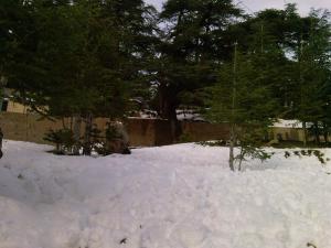 Le Djurdjura sous la neige Tikjda