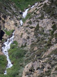 Chute d'Eau à Alger
