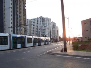 Tramway . ALGER LES BANANIERS