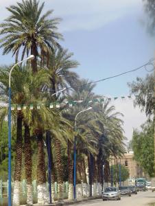 Route  nationale 28 Alger