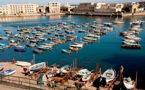 Port de Pêche d'Alger