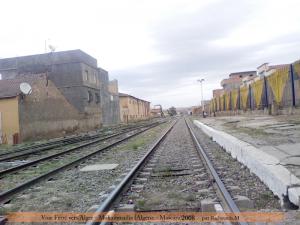 Vers Alger - Mohammadia - Mascara