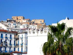 Alger Mosquée de la Pêcherie, Place des Martyrs et Casbah