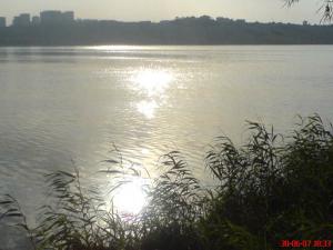 Lac de Reghaia (Alger)