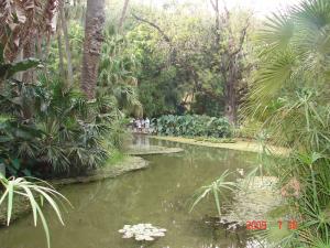 Jardin d'essais El Hamma_ Alger