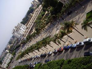 El-Harrach, Cours du Congrés Ex Cours de France