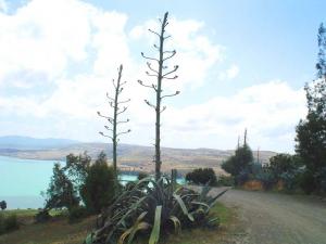 Barrage Ghrib - Mohammadia