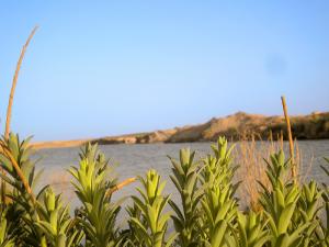 Barrage entre Djelfa et Lagouat