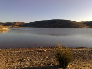 Ced Elkheriza,Charef ,Djelfa